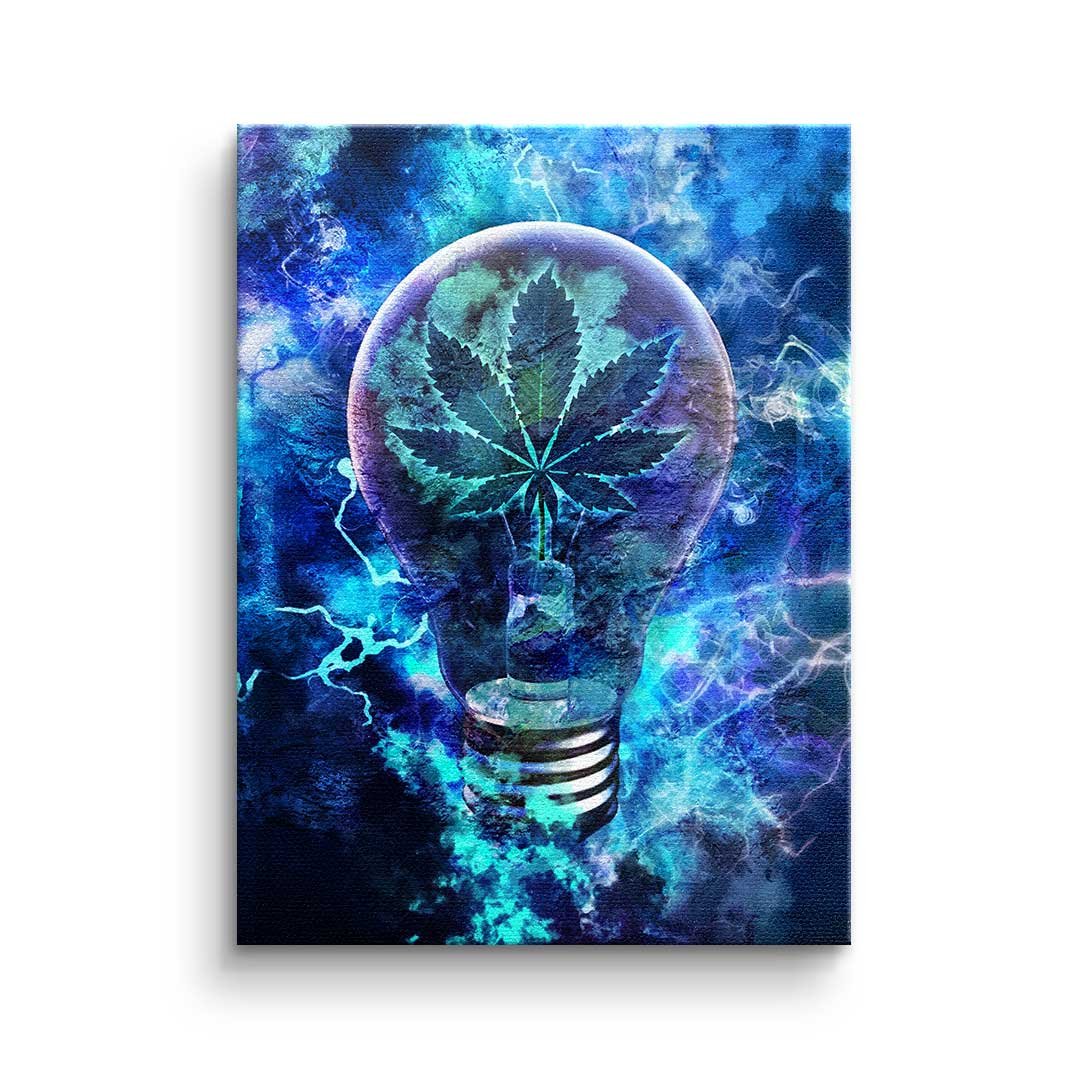 THE ENLIGHTENMENT