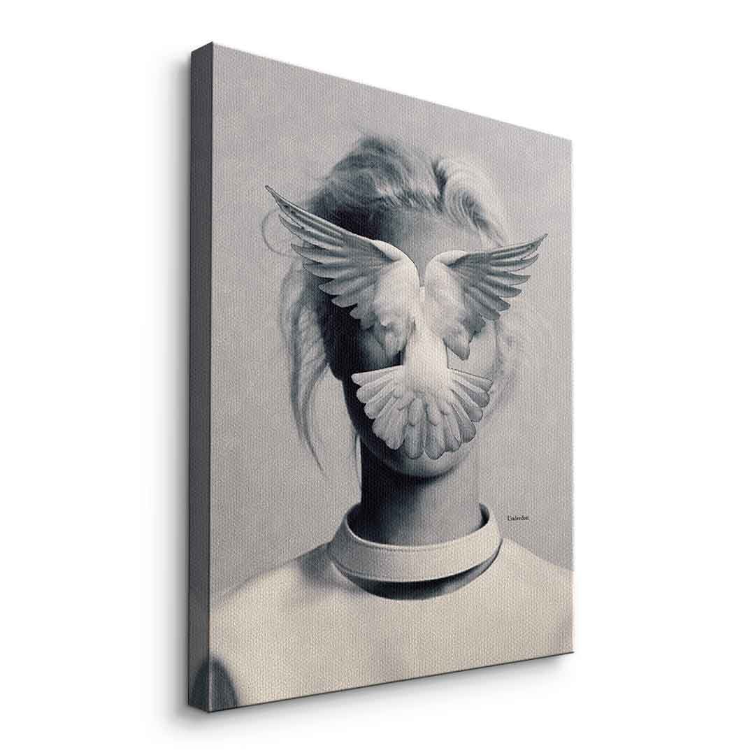 DECISIONS - Image 7