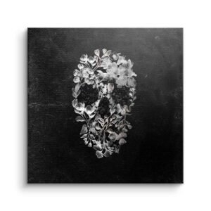 CLASS SKULL