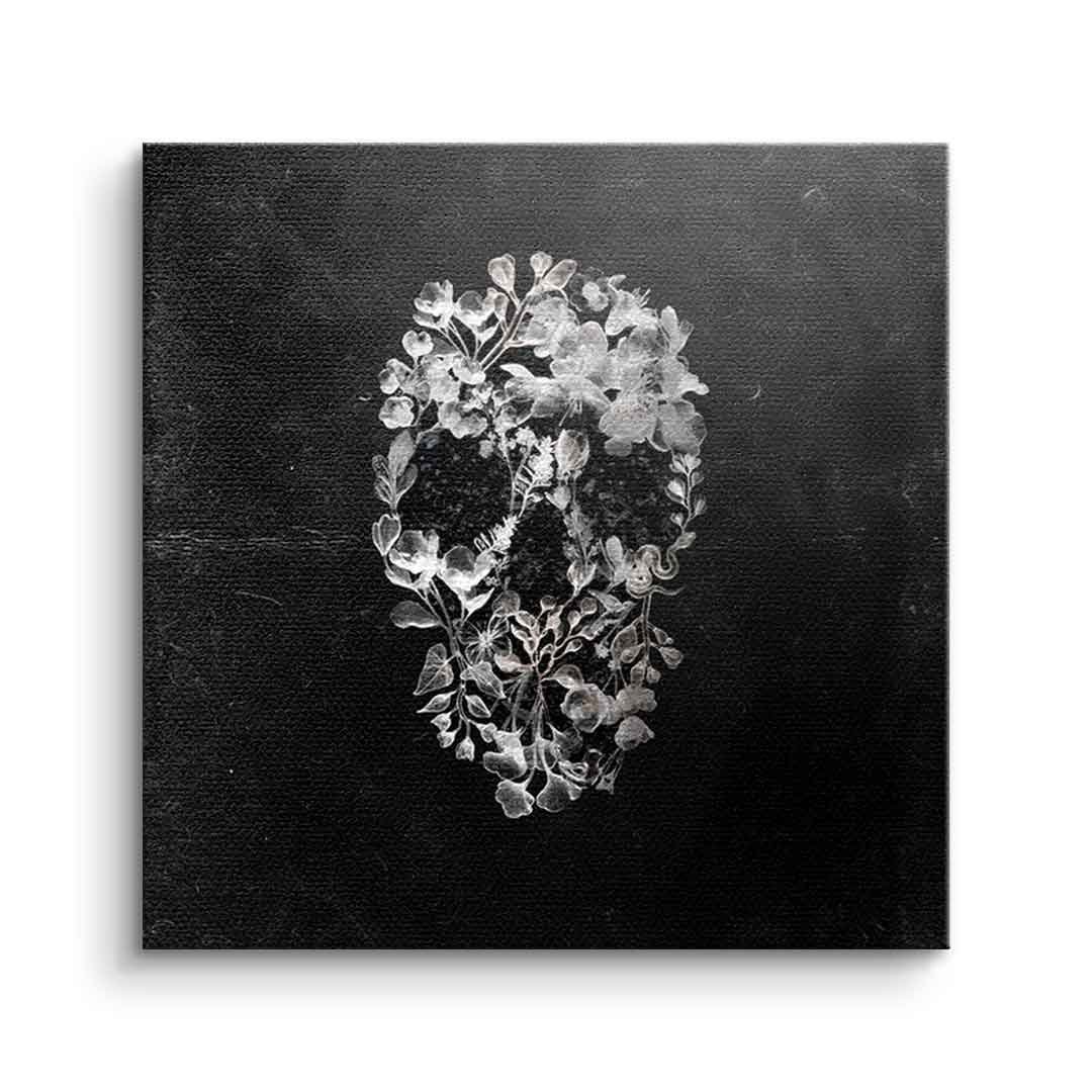 CLASS SKULL