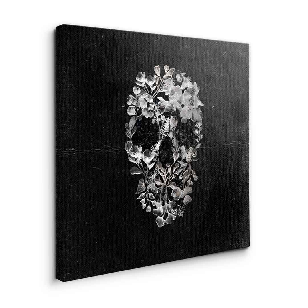 CLASS SKULL - Image 2