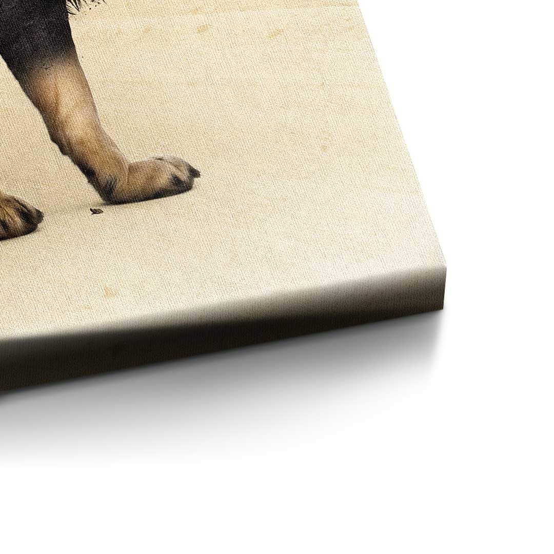 THE LION'S LIFE - Image 4