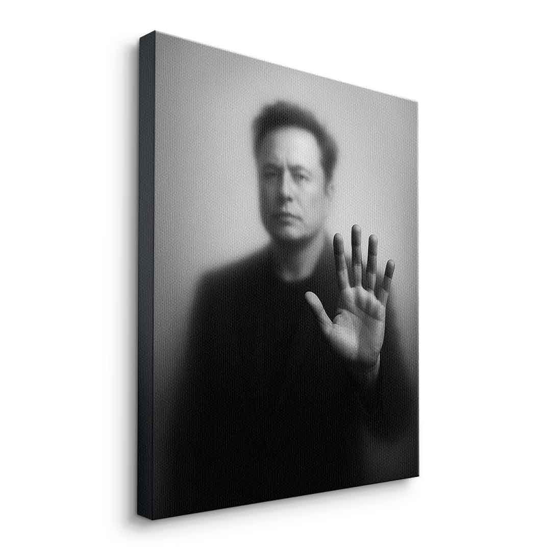 MUSK'S SILHOUETTE - Image 2