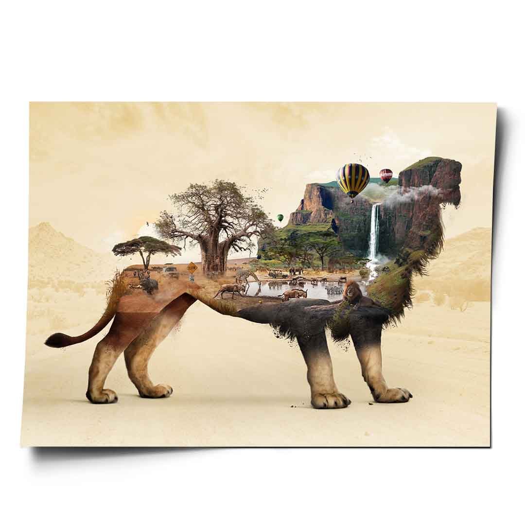 THE LION'S LIFE - Image 5