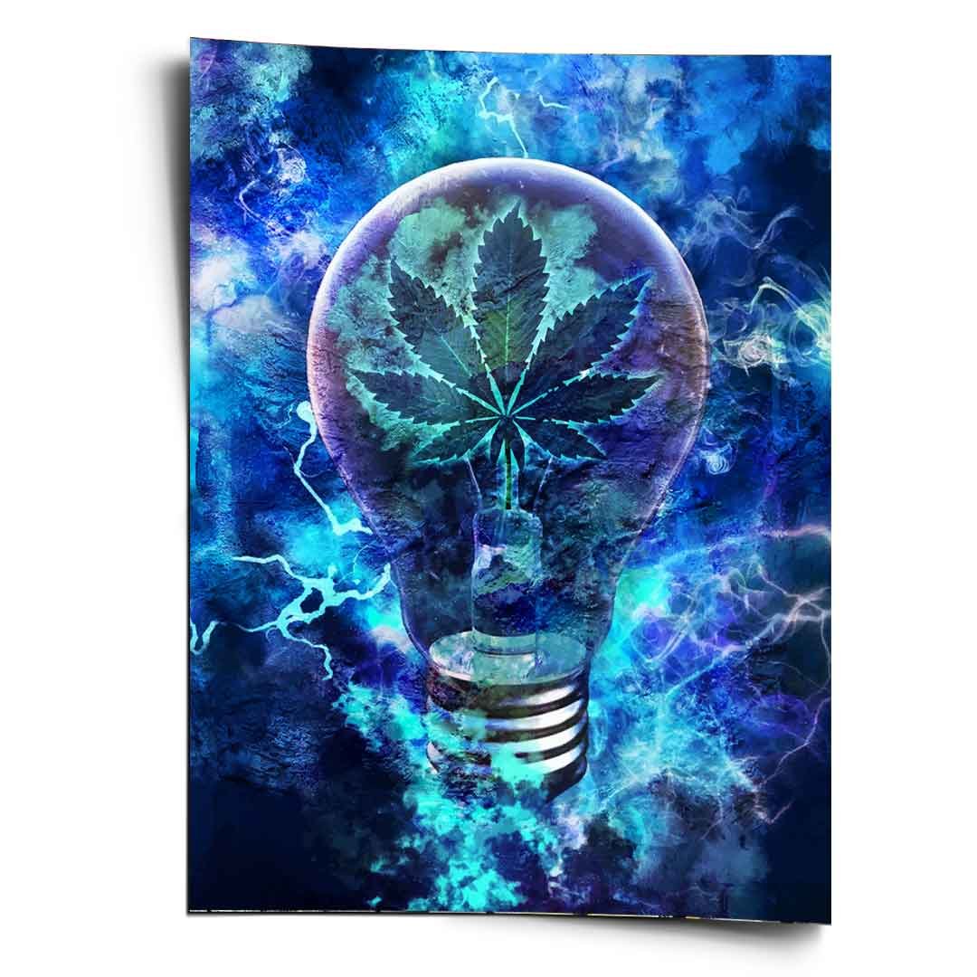 THE ENLIGHTENMENT - Image 4