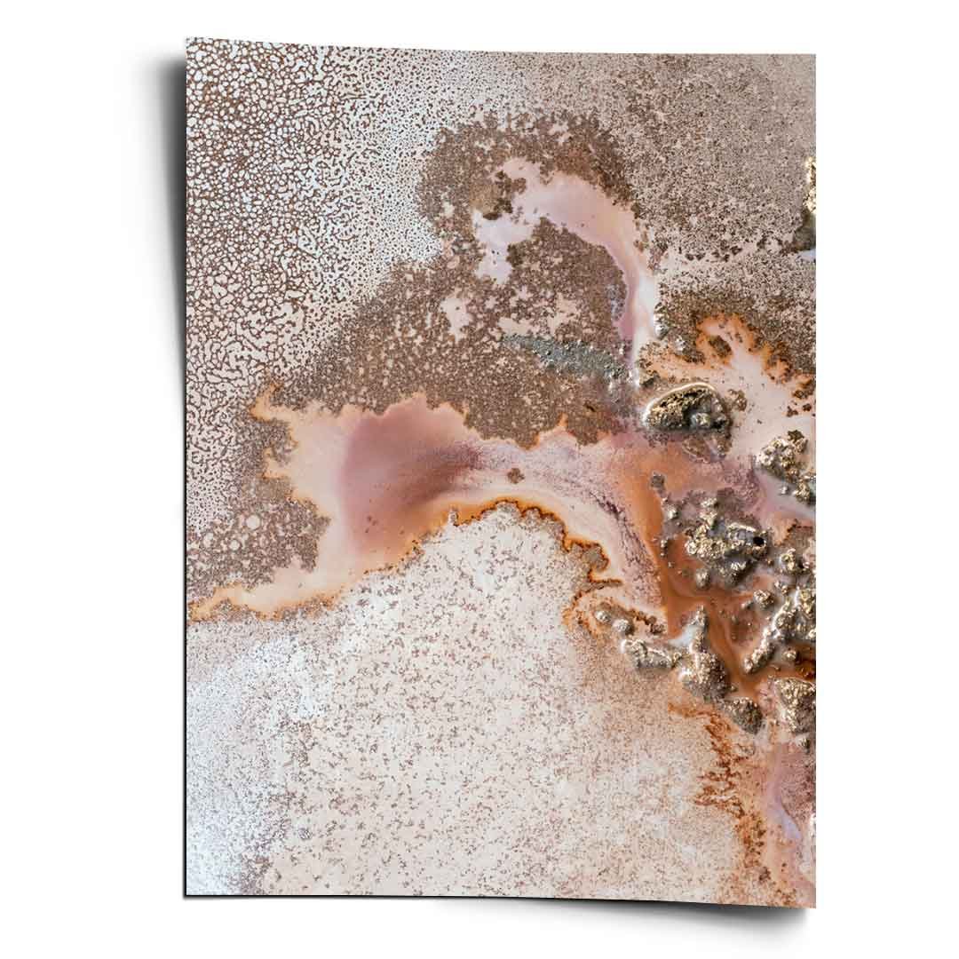 DISCOVERY - Image 7