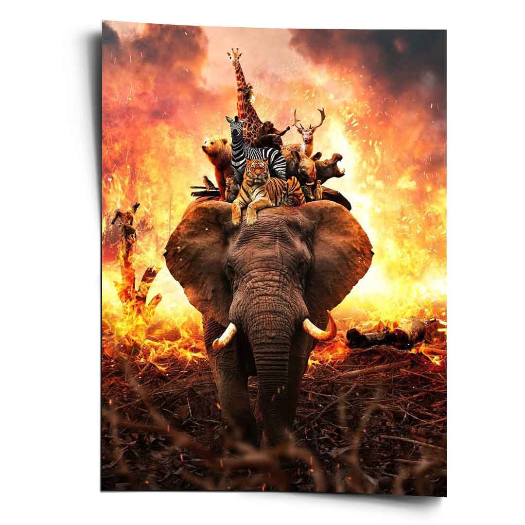 HARD ANIMAL LIFE - Image 3
