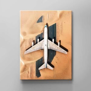 DESERT PLANE