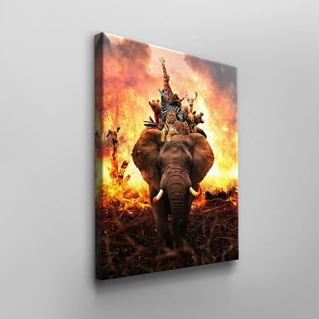 HARD ANIMAL LIFE - Image 2