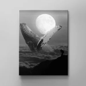 FREEDOM WHALES