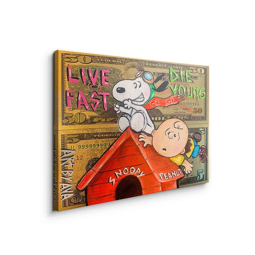 FLYING PEANUTS - Image 5